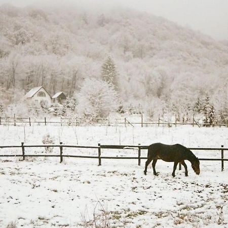 Casuta Boema Villa Rîşnov Exteriör bild