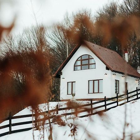 Casuta Boema Villa Rîşnov Exteriör bild