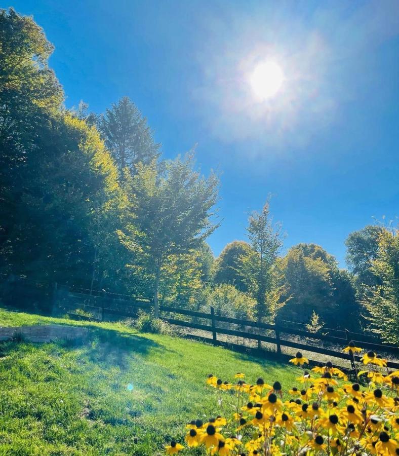 Casuta Boema Villa Rîşnov Exteriör bild