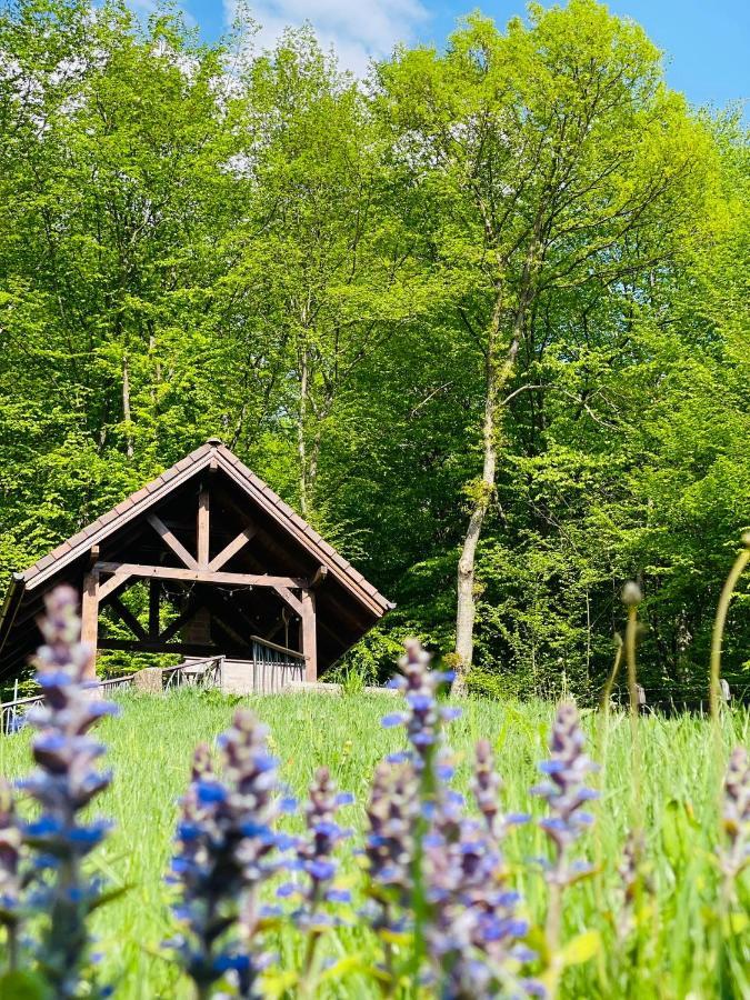 Casuta Boema Villa Rîşnov Exteriör bild