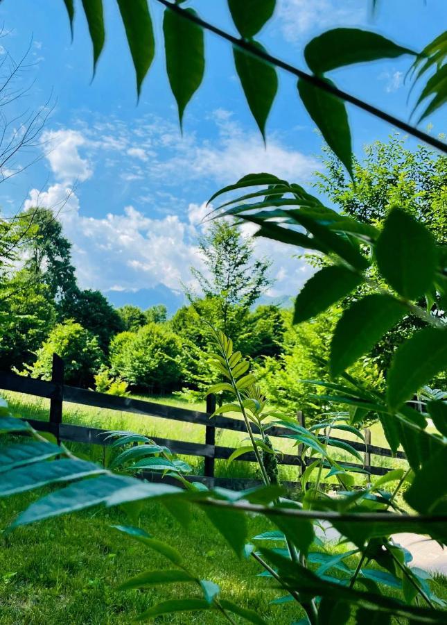 Casuta Boema Villa Rîşnov Exteriör bild