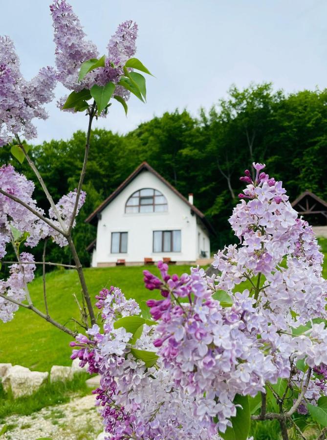 Casuta Boema Villa Rîşnov Exteriör bild