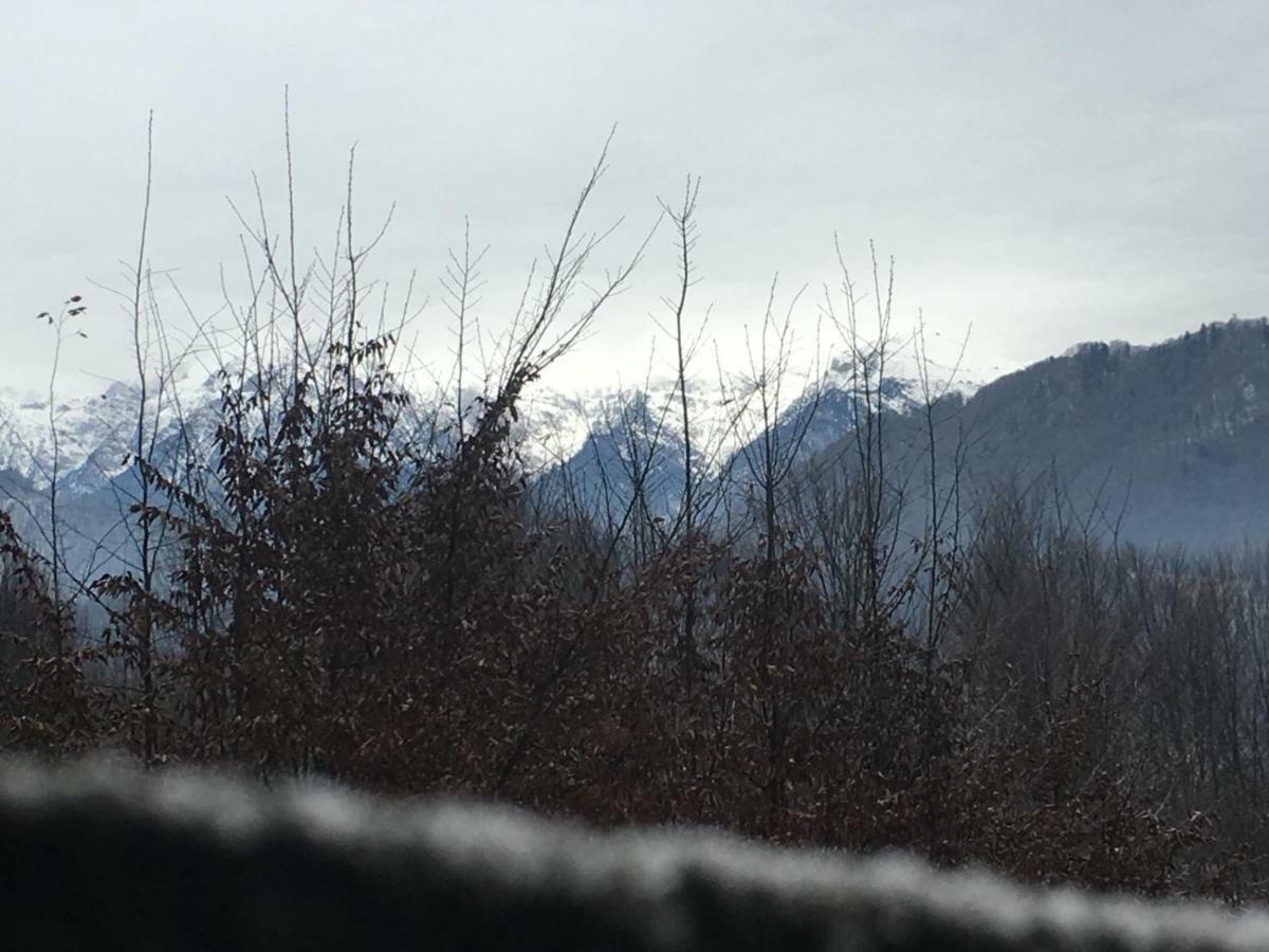 Casuta Boema Villa Rîşnov Exteriör bild