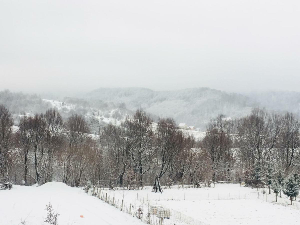 Casuta Boema Villa Rîşnov Exteriör bild