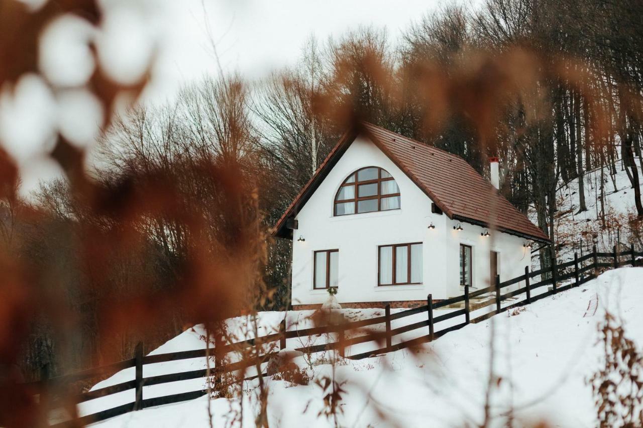 Casuta Boema Villa Rîşnov Exteriör bild