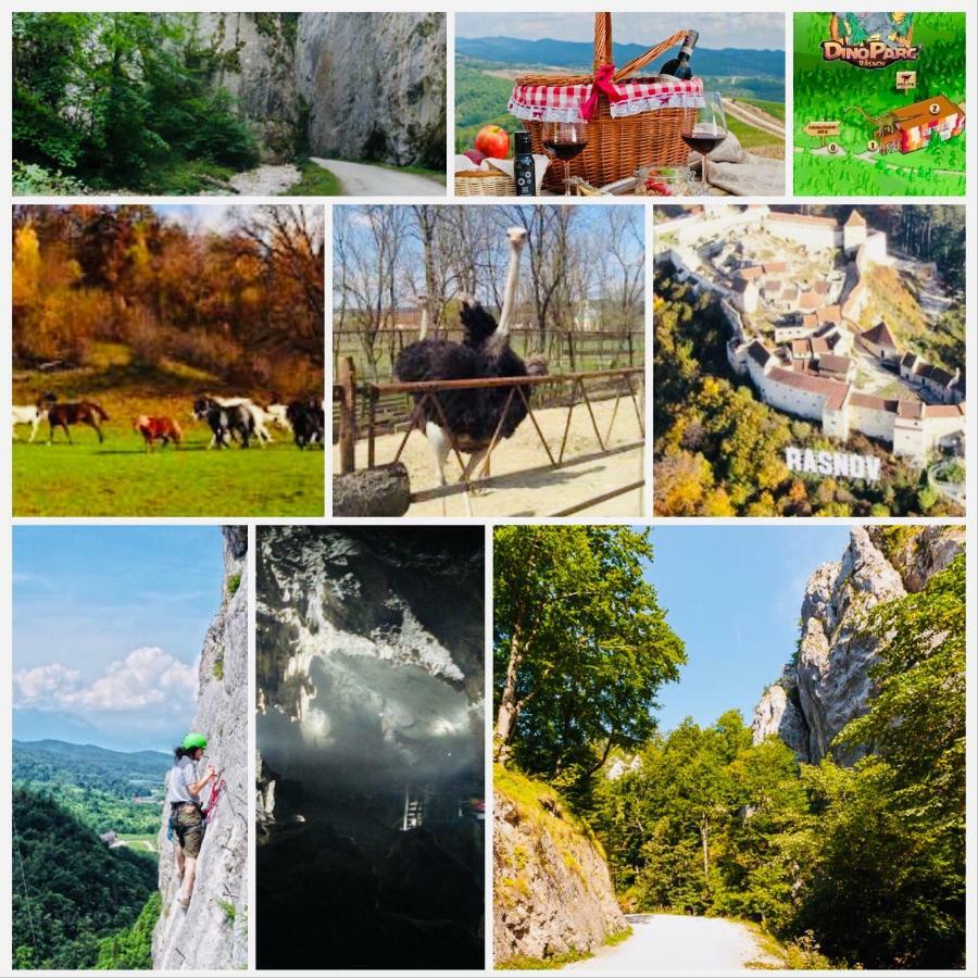 Casuta Boema Villa Rîşnov Exteriör bild